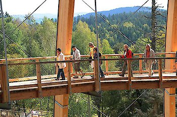 Baumwipfelpfad Bayerischer Wald